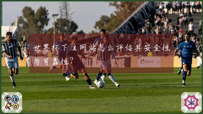 世界杯下注网站怎么评估其安全性与可靠性？