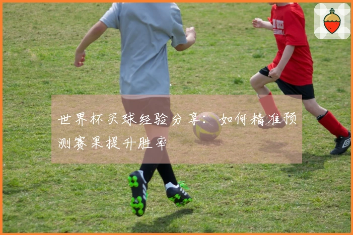 世界杯买球经验分享：如何精准预测赛果提升胜率